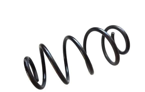 Rear coil spring