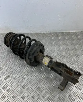 Opel Insignia A Front shock absorber/damper