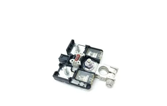 Toyota RAV 4 (XA40) Battery relay fuse 