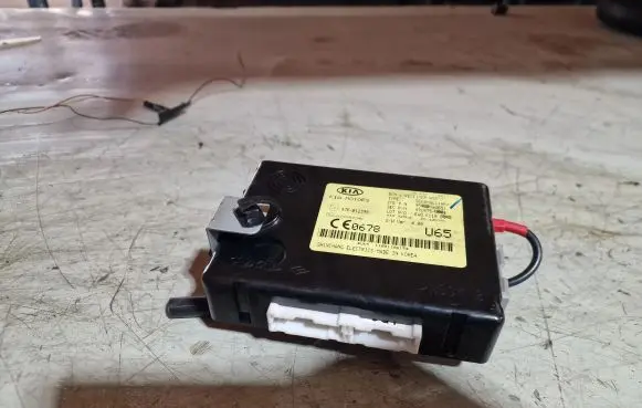 KIA Sportage Other control units/modules 954003U651