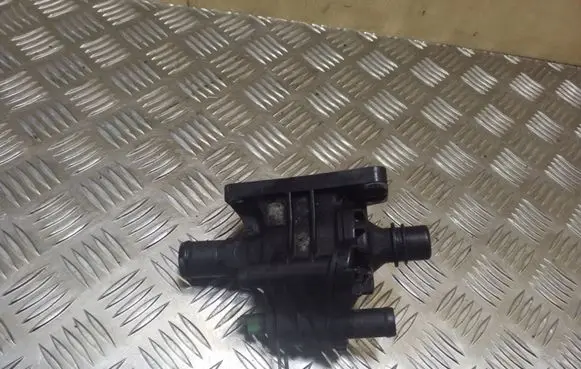 Thermostat/thermostat housing