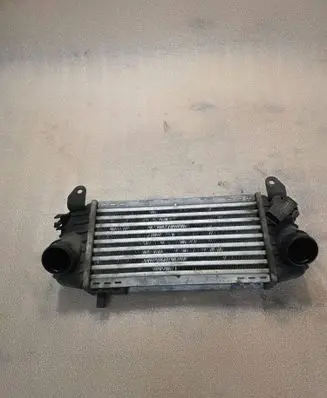 Audi A2 Intercooler radiator 0038601