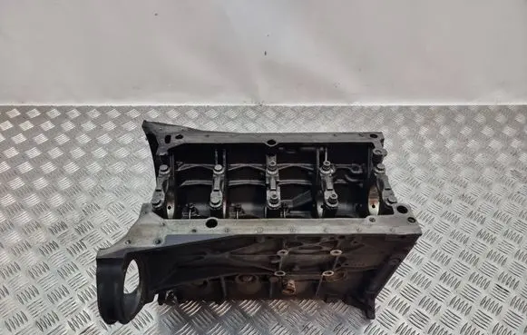 Mercedes-Benz Vito Viano W639 Engine R6110111301