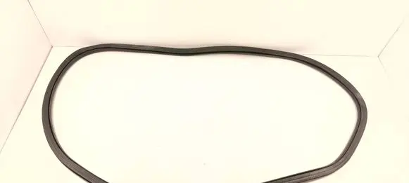 Ford Fusion II Rear door rubber seal (on body) 