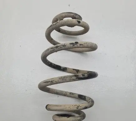 Volkswagen PASSAT B5 Rear coil spring