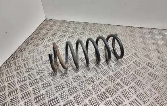 Ford S-MAX Rear coil spring