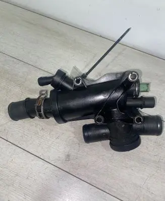 Thermostat/thermostat housing