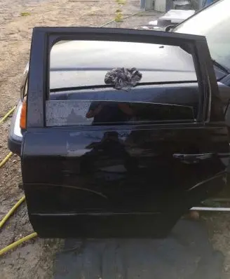 Ford S-MAX Rear door