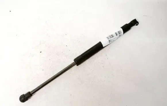 Tailgate/trunk strut/damper