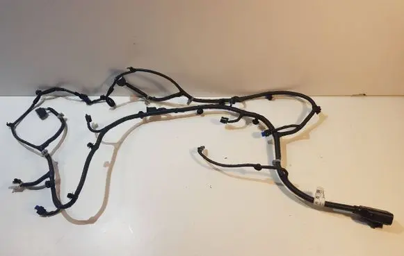 Hyundai Kona II Wiring harness 91880HF130