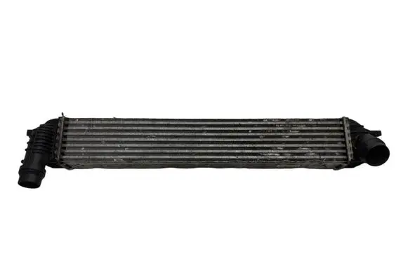 Renault Laguna III Intercooler radiator 144610001N