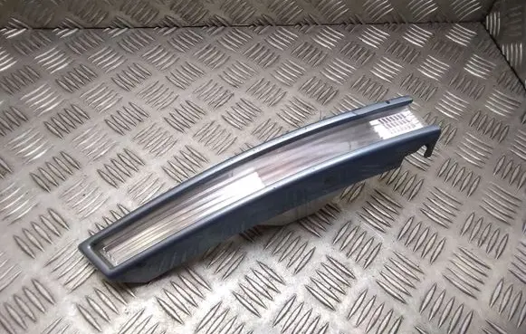 Volkswagen PASSAT B6 Front indicator light 3C0953042L 3C0807718C