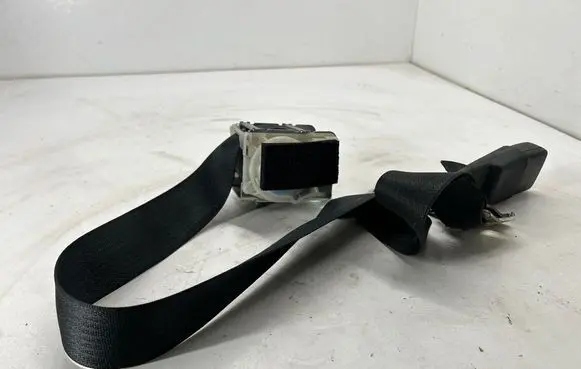Dodge Charger Rear seatbelt 5UZ241X9AA P5UZ241X9AA 2434239