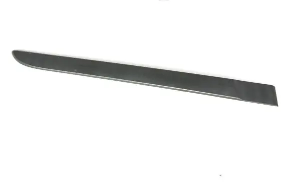 Renault Megane II Rear door trim (molding) 8200648672