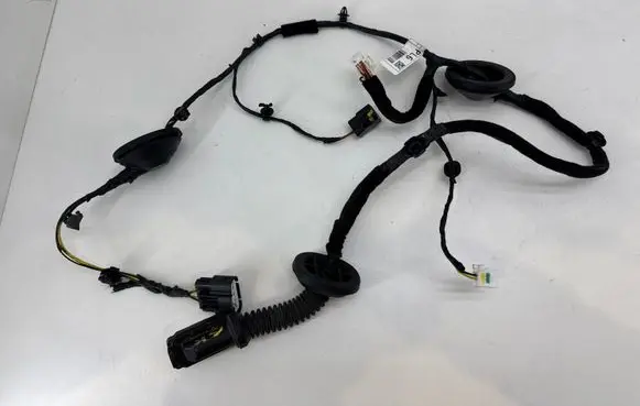 KIA Sportage Rear door wiring loom 91625F1060