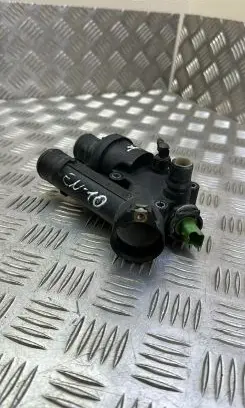 Thermostat/thermostat housing