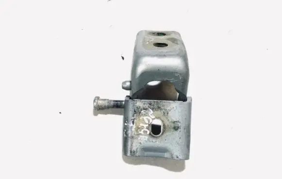 Citroen C5 Rear door lower hinge
