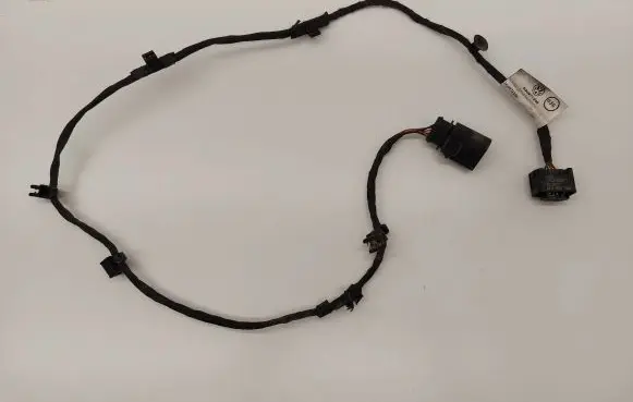 Other wiring loom