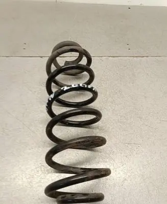 Rear coil spring