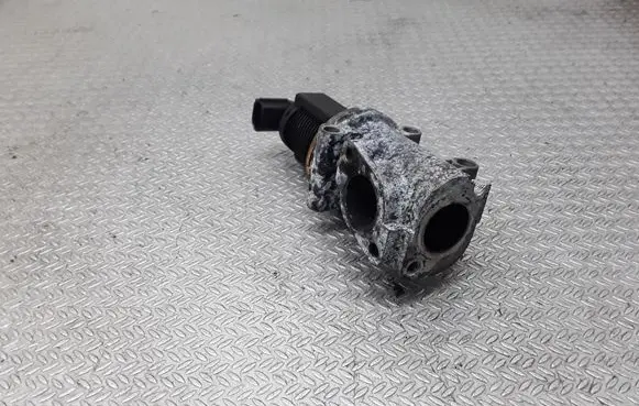 Opel Vectra C EGR valve 50024005