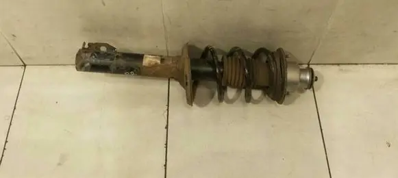 Porsche Cayman 987 Rear shock absorber with coil spring 98733305113