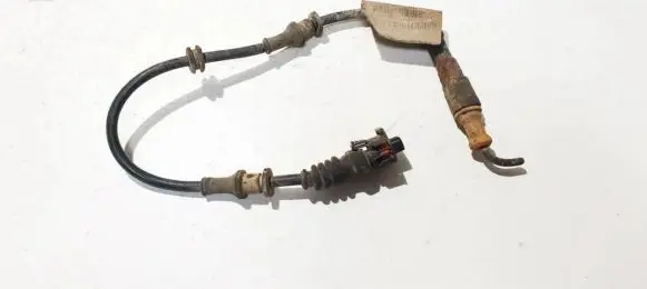 Opel Signum Other wiring loom 24418887