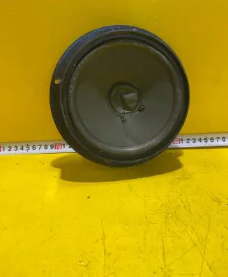 Front door speaker