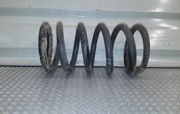 Mitsubishi Grandis Rear coil spring 
