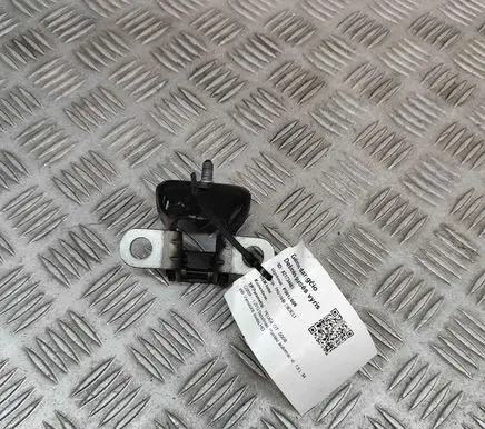 Peugeot 5008 Tailgate/trunk/boot hinge 8613F3
