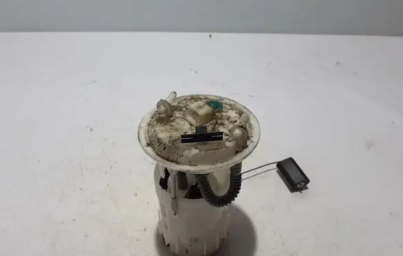 Renault Kangoo II In-tank fuel pump 172026671R