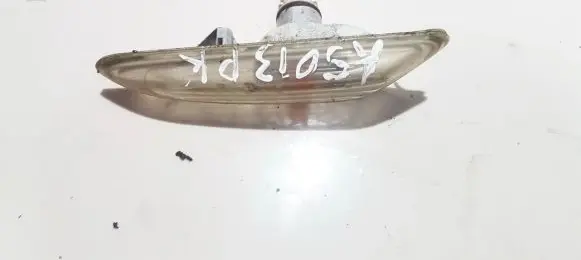 Front fender indicator light