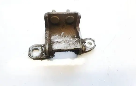 Rear door lower hinge