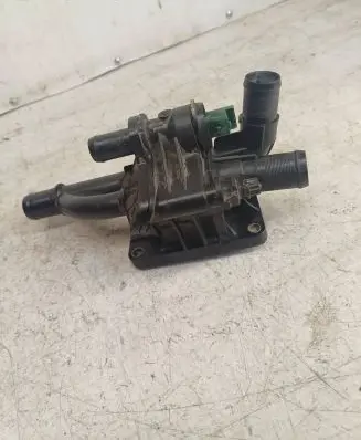 Thermostat/thermostat housing