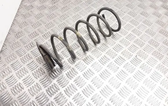 Hyundai i20 (PB PBT) Rear coil spring