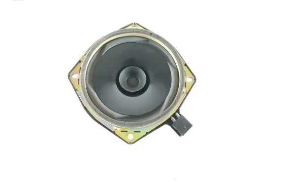 Hyundai Centennial Rear door speaker 963303B500