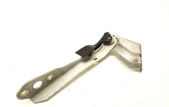 Renault Master III Engine bonnet/hood hinges 654000006R