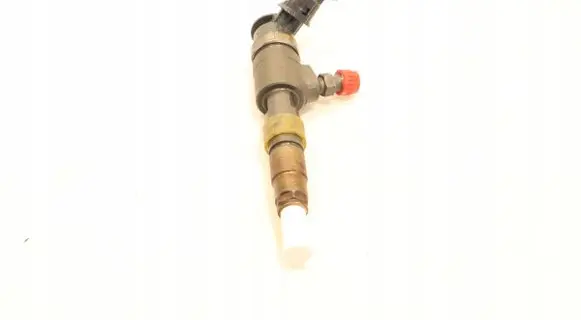 Citroen C4 II Fuel injector 0445110566