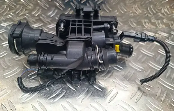 Thermostat/thermostat housing