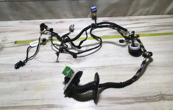 Front door wiring loom