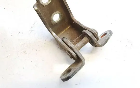 Rear door lower hinge