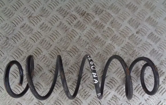 Rear coil spring