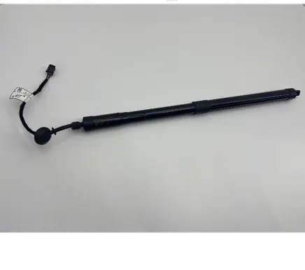 Tailgate/trunk strut/damper