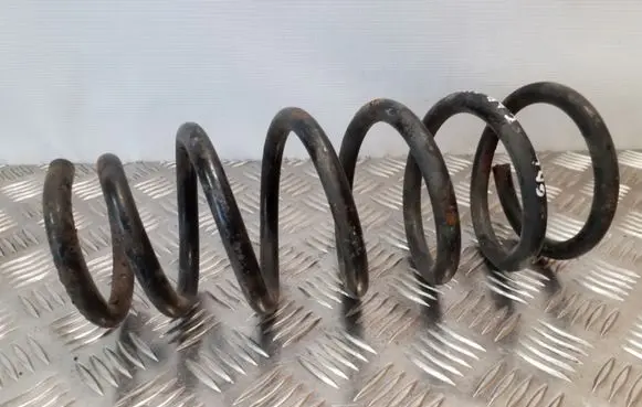 Rear coil spring