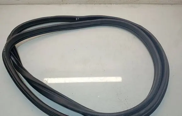 Citroen C3 Front door rubber seal 