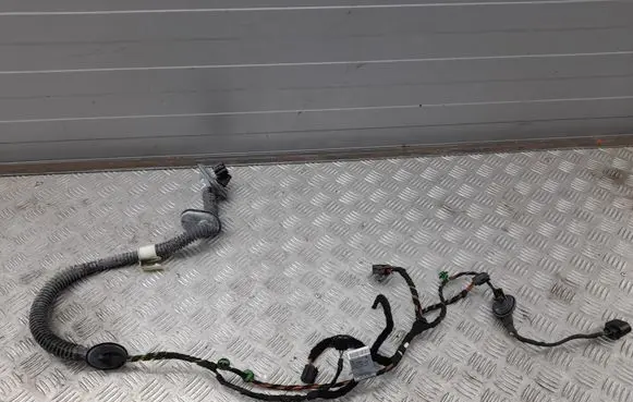 Porsche Panamera (970) Rear door wiring loom 97061263700