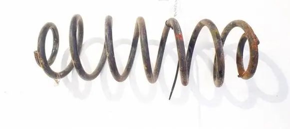 Rear coil spring