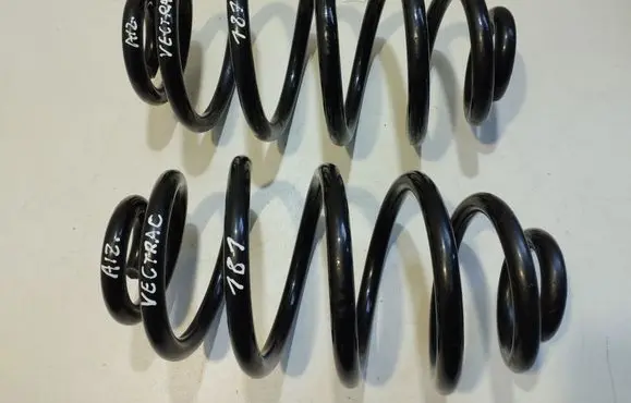 Opel Vectra C Rear coil spring RH6217