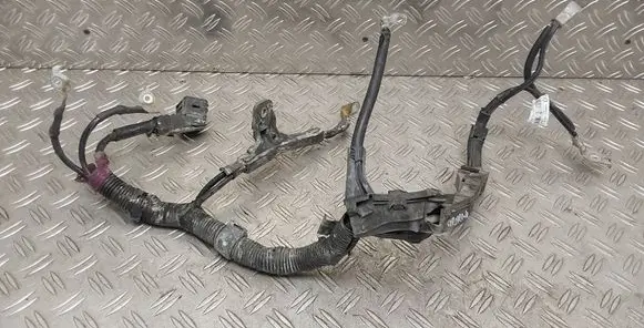 Toyota Corolla E210 E21 Negative earth cable (battery) 82123F4010