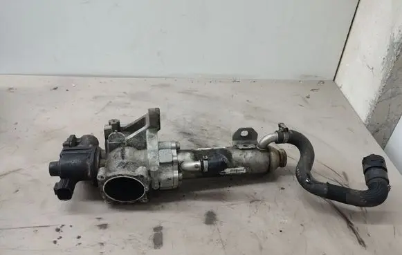 EGR valve cooler