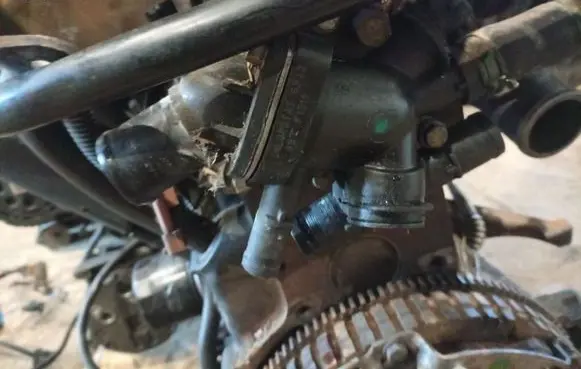 Renault Scenic I Engine coolant pipe/hose